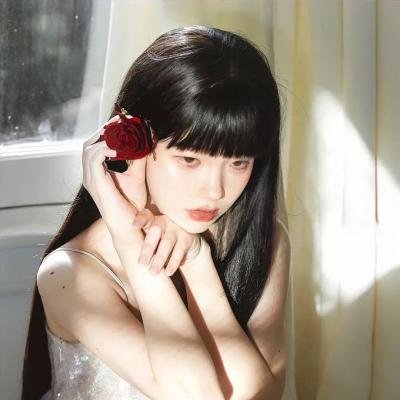 山菊花海报