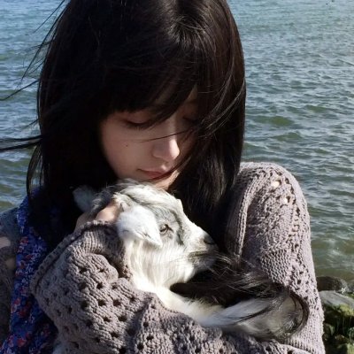 华丽一族海报