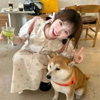 清宫气数录粤语海报