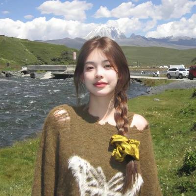 北逃海报